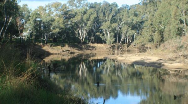 Nobles Beach Camping Area