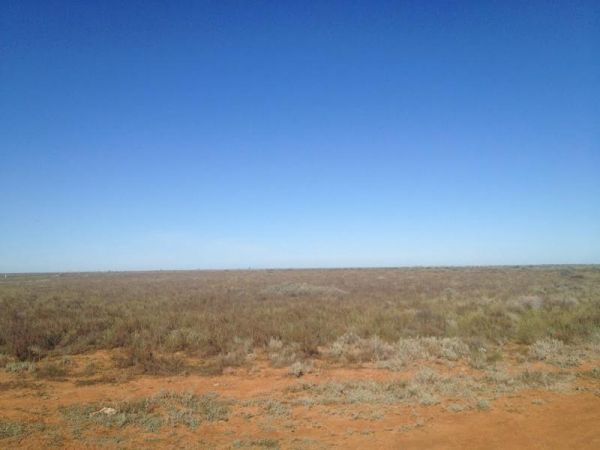 Sixteen Mile Gums Rest Area