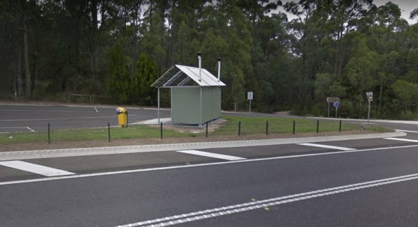 McKenzie River Rainforest Walk