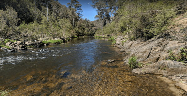 The Pines Campground