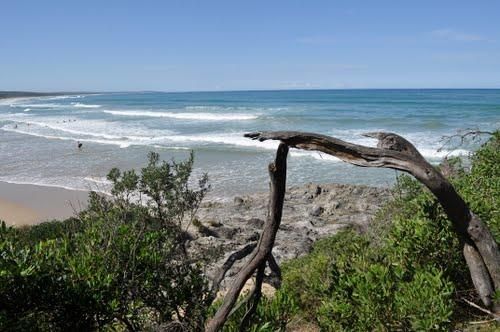 Cape Conran Coastal Park