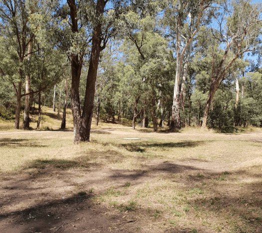 Davons Flat Camping Area