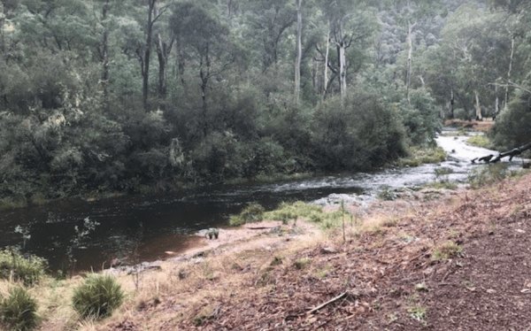 Davons Flat Camping Area