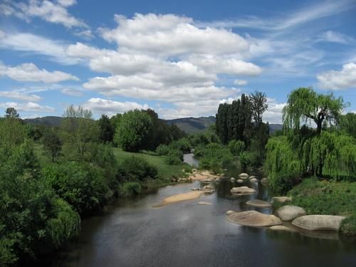 Bendemeer Park Rest Area