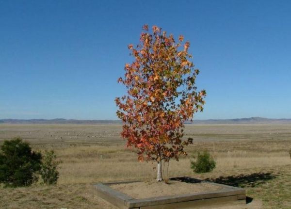 Anderson VC Rest Area