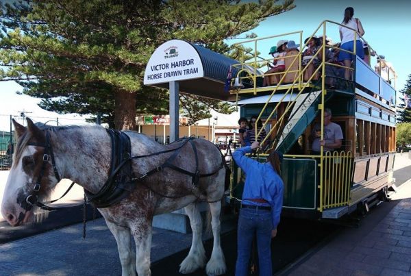 Victor Harbor Visitor Information Centre