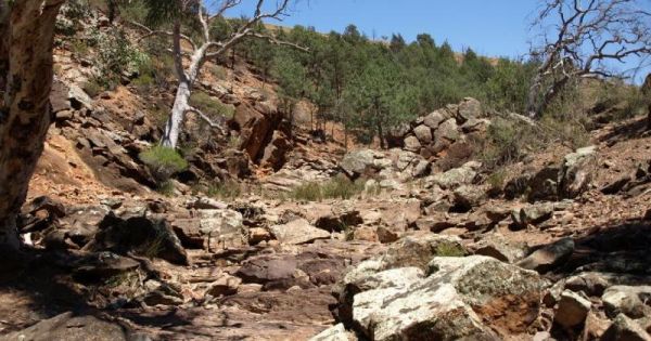 Warren Gorge Camping Area