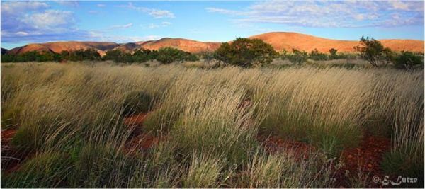 Des Streckfuss Rest Area