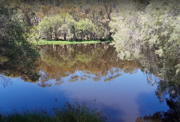 Eadine Springs Rest Area