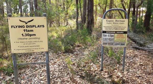 Eagles Heritage Raptor Wildlife Centre