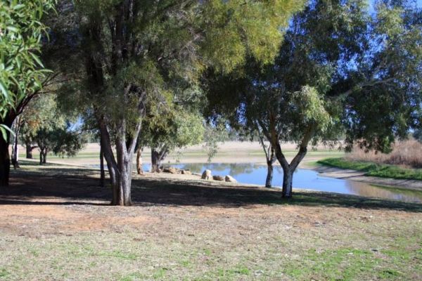 Tambo Wetland Reserve Rest Area