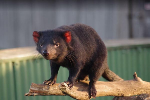 East Coast Natureworld