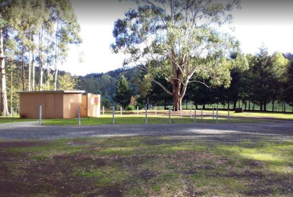 Lake Barrington Camping Area