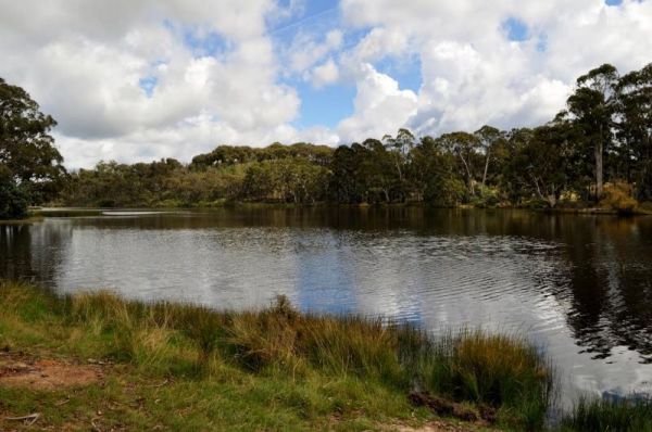 Burraga Dam Camping Area
