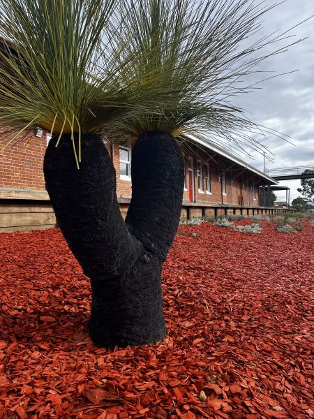 Narrogin & Dryandra Visitor Centre