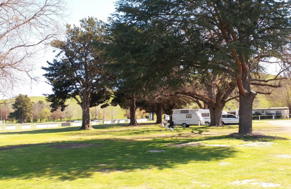 Alexandra Showgrounds Caravan Park
