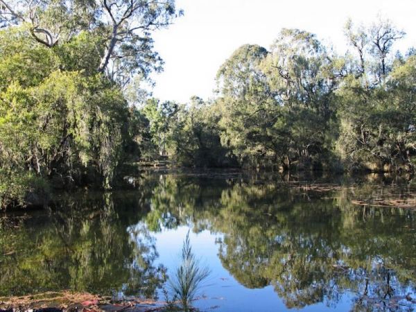 Tooloom Falls Camping Area