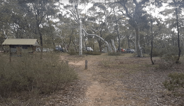 Wog Wog Camping Area