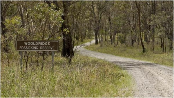 Woolridge Fossicking Camping Area