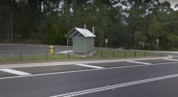 McKenzie River Rainforest Walk